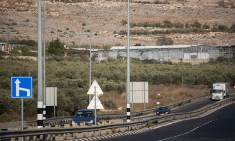 [צילום: הדס פרוש, פלאש 90]