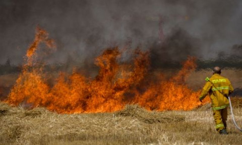 [צילום: יונתן זינדל/פלאש 90]