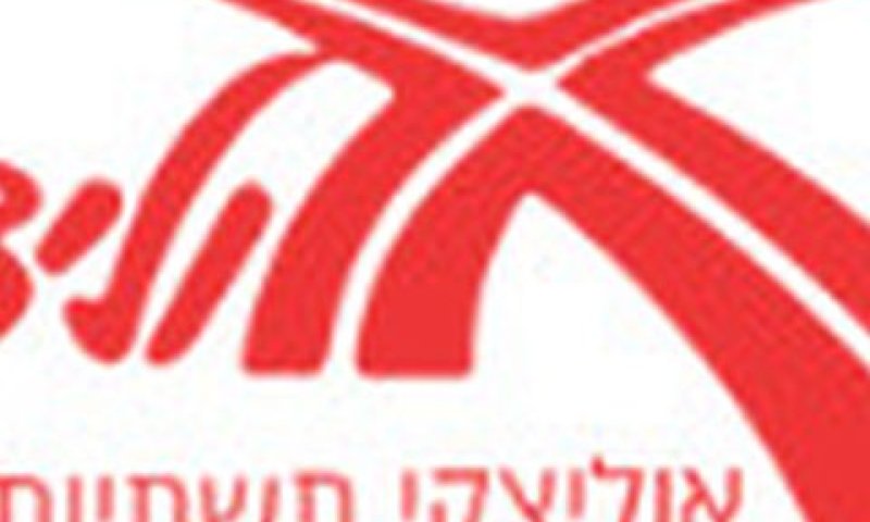 קבלן החפירה והדיפון