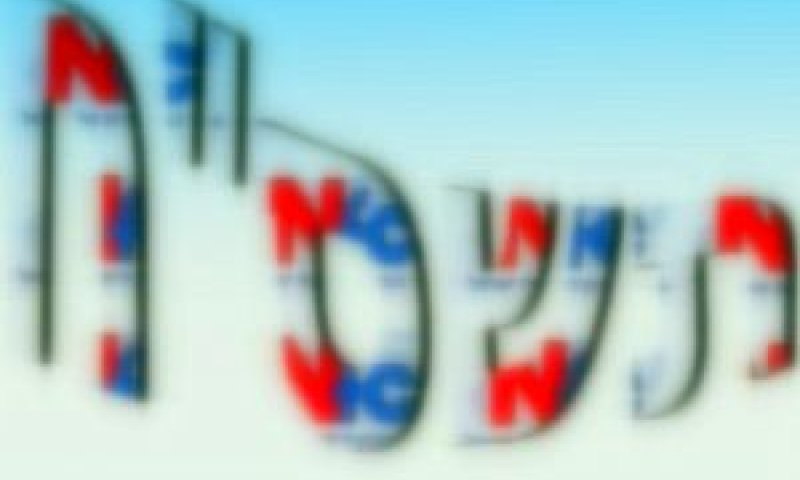 [צילום: פלאש 90]
