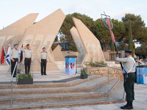 [צילום: דובר צה"ל]