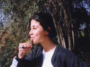 שחרור ציפורים