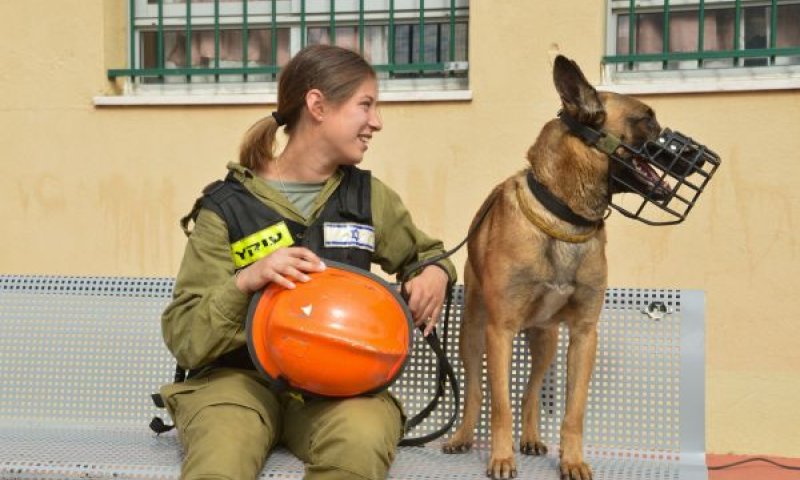 חזרה לשגרה, רגע לפני יציאה לחופשה [צילום ארכיון: אבי דישי/פלאש 90]