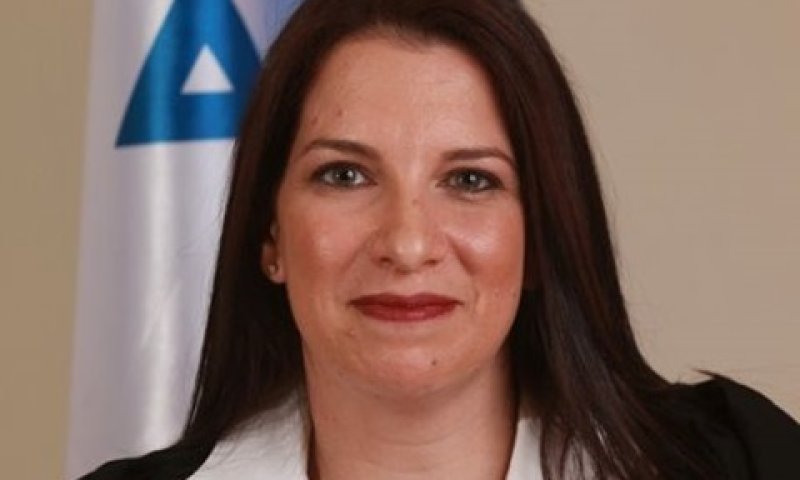 סנונית-פורר. המצב השתנה