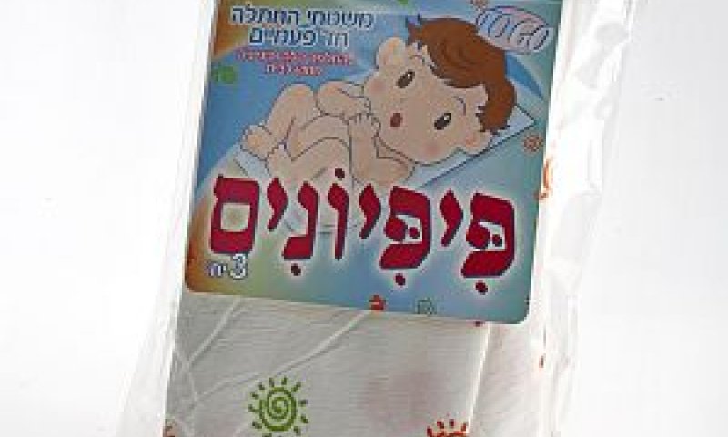 [צילום: יח"צ]