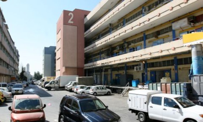 גבעת שאול [צילום: פלאש 90]