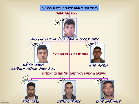 חברי החולייה