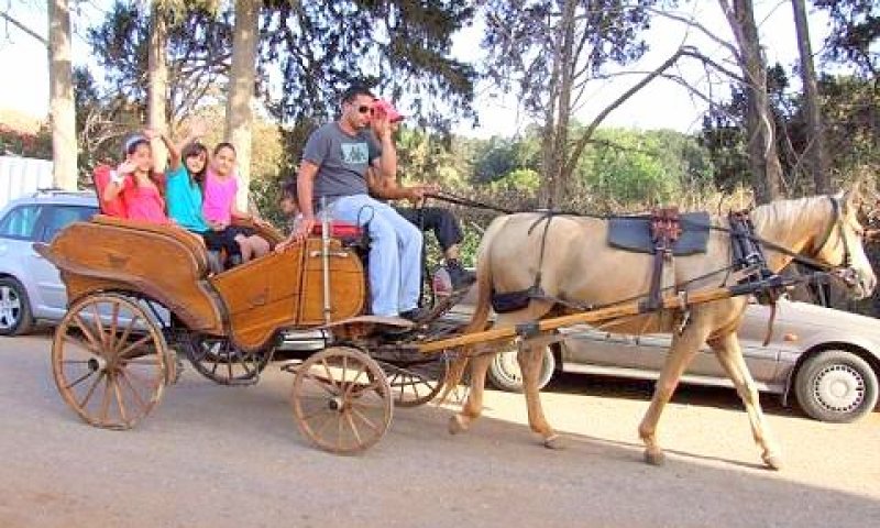 רכיבה בכרכרה בביתן אהרון [צילום: יח"צ]