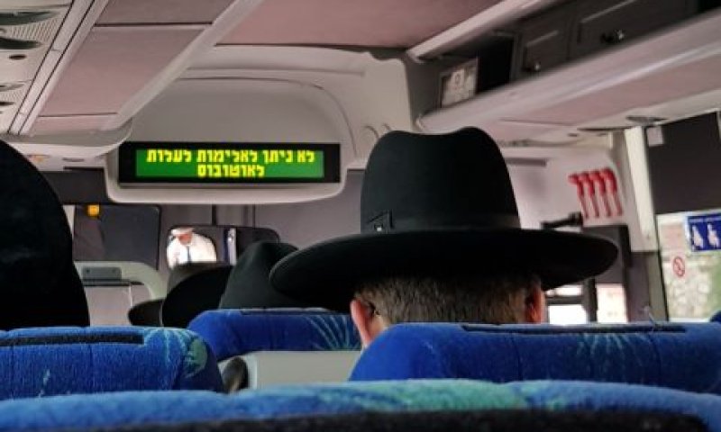 שלט באוטובוס נגד אלימות [צילום: ניסים פרץ]