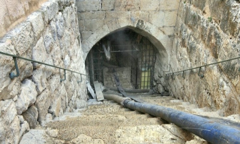 נקבת השילוח