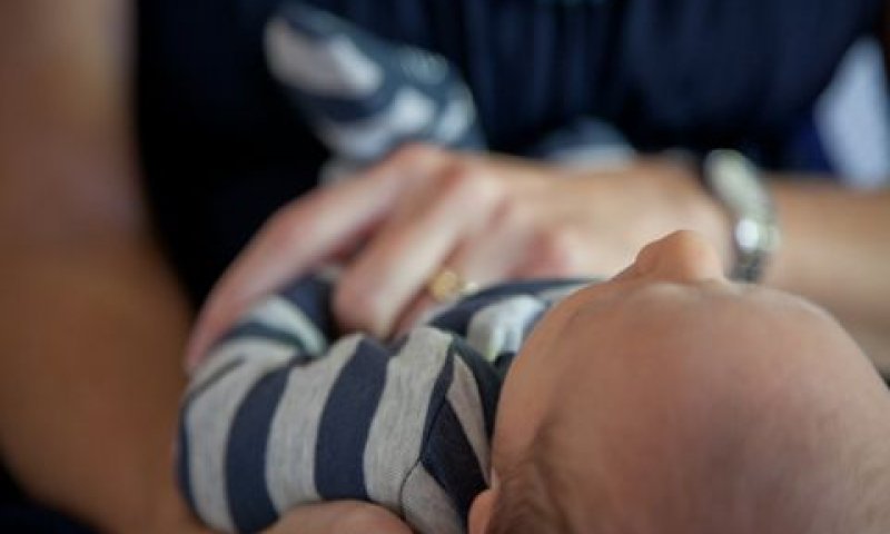 [צילום: PEXELS.COM]