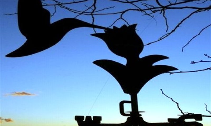 המידע בכף ידך [צילום: AP]