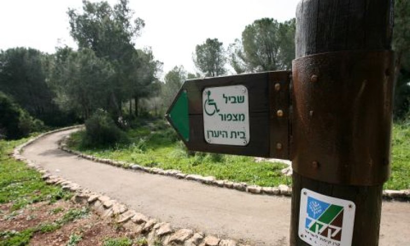 [צילום: דרור ארצי, קק"ל]