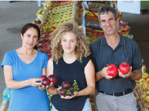 [צילום: החברה לפיתוח הגליל]