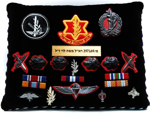 האותות והדרגות שנשא משה לוי על מדיו