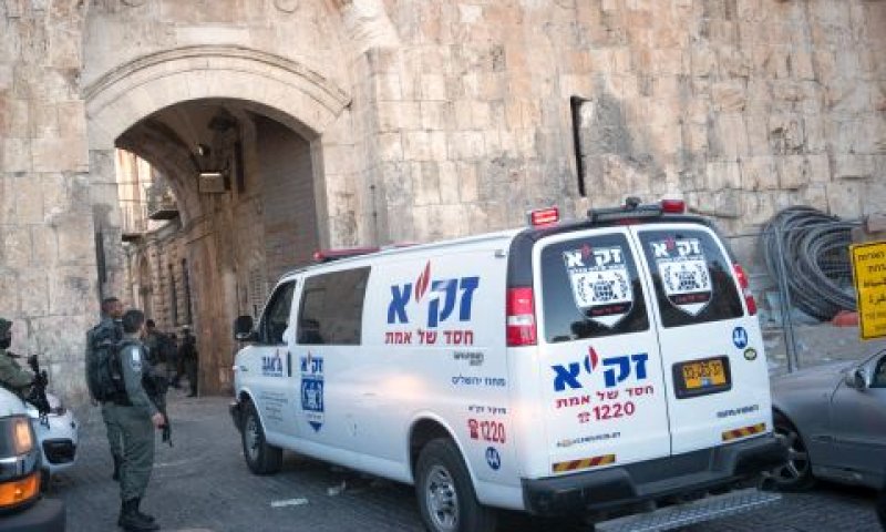 [צילום: יונתן זינדל/פלאש 90]