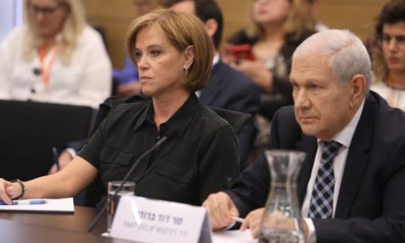 דוד ברודט ורקפת רוסק-עמינח [צילום: יצחק הררי/דוברות הכנסת]