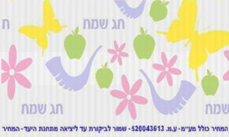 הכרטיס המעוטר של רכבת ישראל