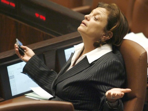 תמיר, הסכימה ל-2,400 תקנים