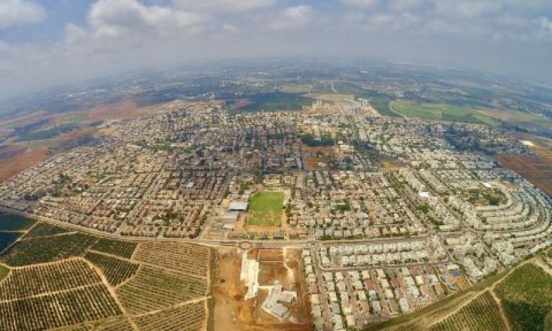 כפר יונה. "לקחנו כמה גרגירים" [צילום: אייל אסף]