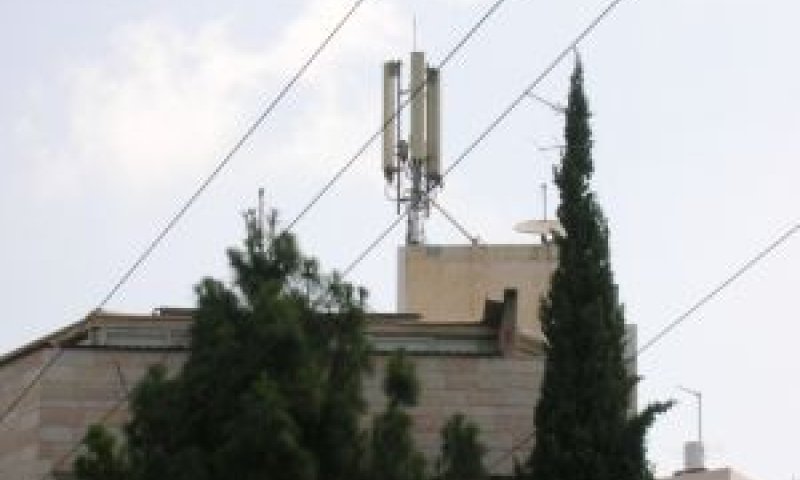 [צילום: עומר שיקלר]