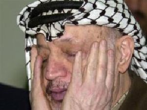 ערפאת. שנה אחרי וסיבת המוות טרם ברורה.