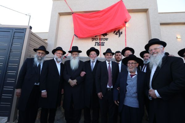 [צילום: דוד כהן]
