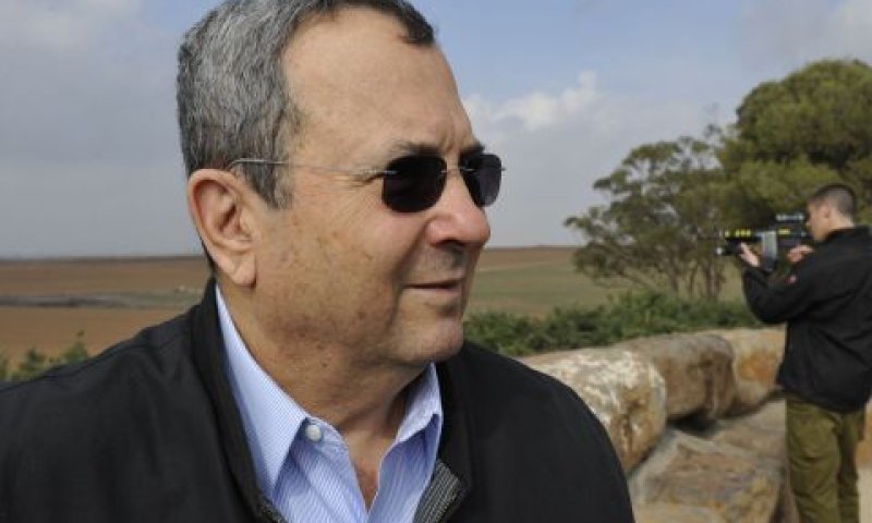 ברק. [צילום: אריאל חרמוני]