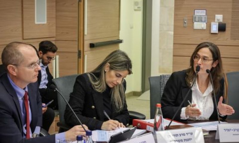 ציונה קניג יאיר בסקירה בפני הוועדה [צילום: נועם מושקוביץ/דוברות הכנסת]