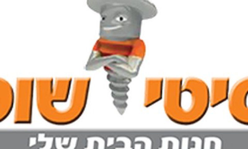 מה היה מצב החברה