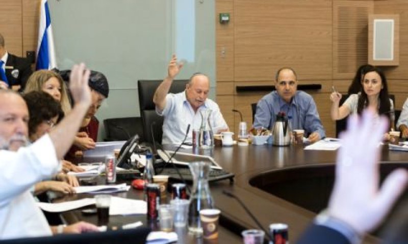 ידיים למטה [צילום: פלאש 90]