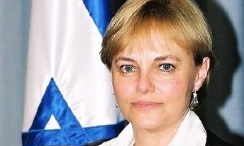 מירז. עוולה המחייבת בפיצוי [צילום: בוצ'צ'ו]
