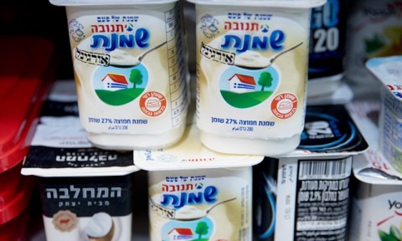 טענה לרשלנות של המלגזות והמשאיות [צילום: יונתן זינדל, פלאש 90]