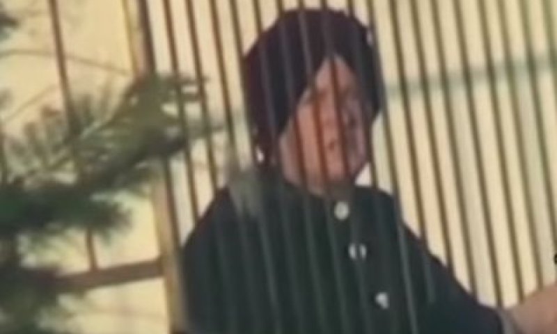 לייפר. התחזתה במשך שנים לחולת נפש [צילום: יוטיוב]