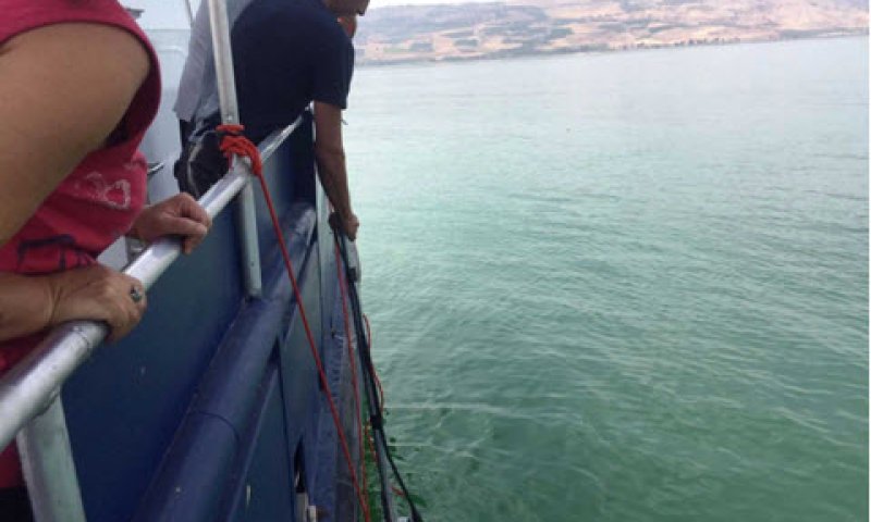 צוותי המחקר בפעולה בכנרת [צילום: רשות הכינרת]