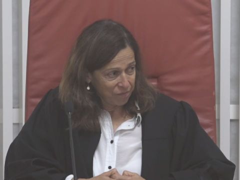 רונן. אין בסיס לפרשנות מצמצמת [צילום: לע"מ]