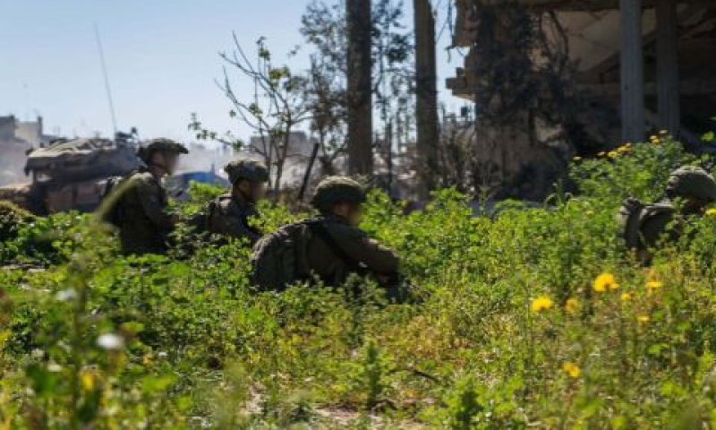 [צילום: דובר צה"ל]