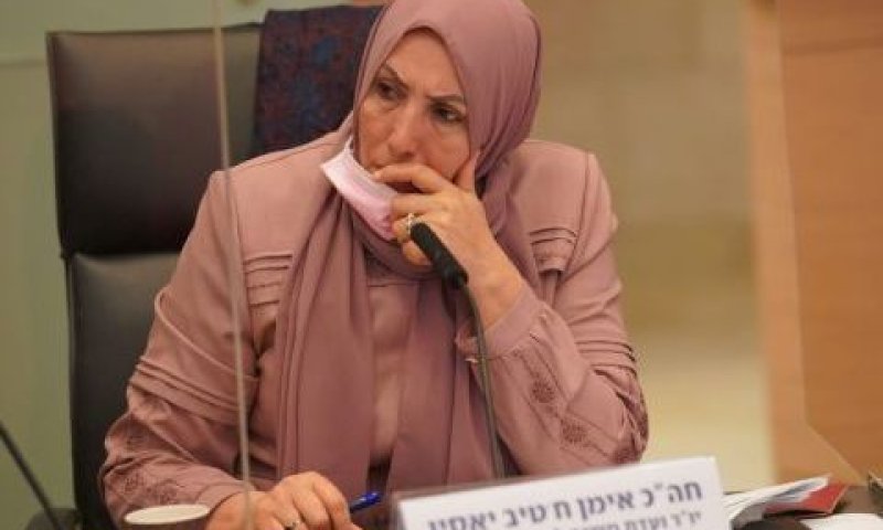 [צילום: דני שם-טוב/דוברות הכנסת]