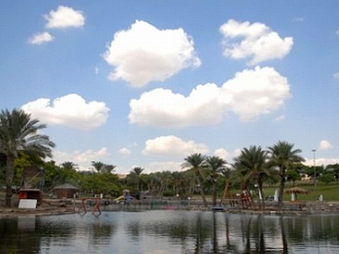 צעדה לכל המשפחה