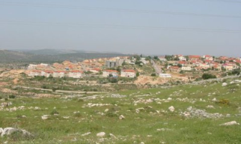 רכשו מגרשים ברבבה