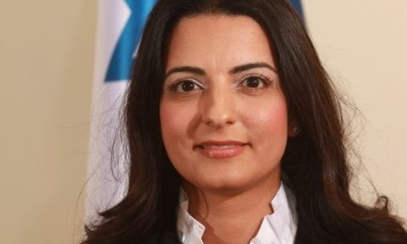 שביט-פינקלשטיין."כתב תביעה לקוני"