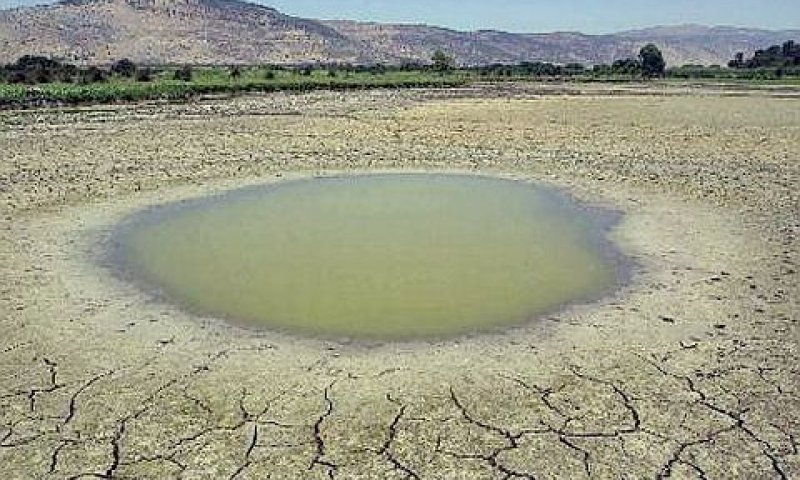 יבש בשמורת החולה [צילום: AP]