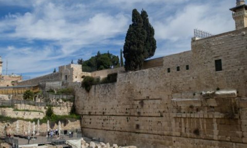 "יותר חשוב ממצדה" [צילום: יונתן זינדל, פלאש 90]