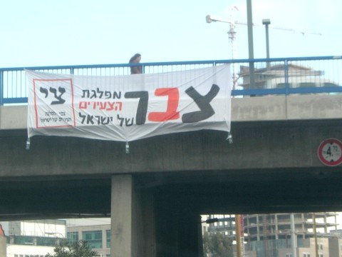 הצעירים מזהמים. שלטי מפלגת צבר בנתיבי איילון [צילום: המועצה לישראל יפה]