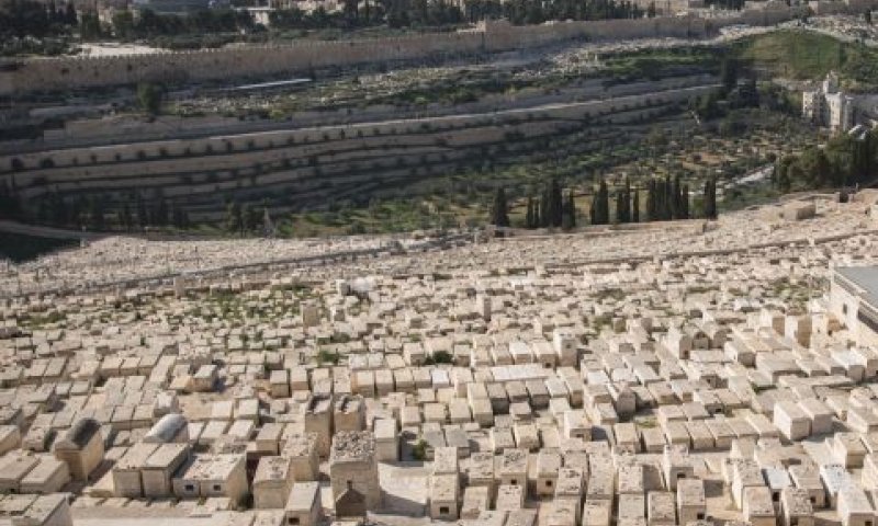 פועלת גם בהר הזיתים [צילום: הדס פרוש, פלאש 90]