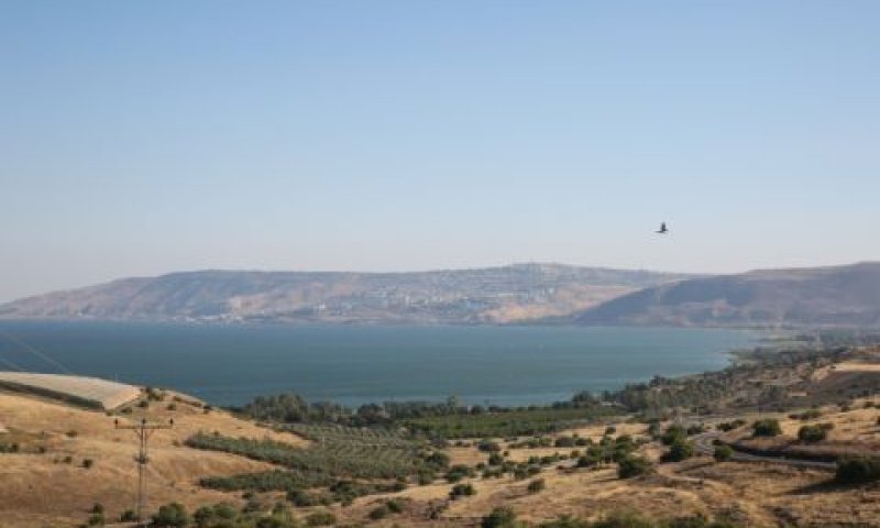 קרקעות שכביכול נמכרו [צילום: דוד כהן, פלאש 90]