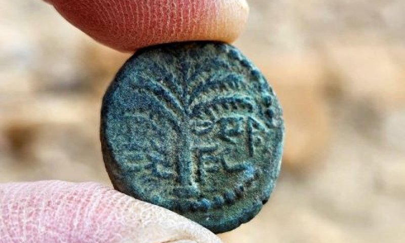 בצידו האחד של המטבע הנדיר שהתגלה מוטבע עץ התמר, ומשני צידי גזע העץ מופיע הכיתוב "אלעזר הכהן" בכתב עברי קדום [צילום: אמיל אלג'ם, רשות העתיקות]