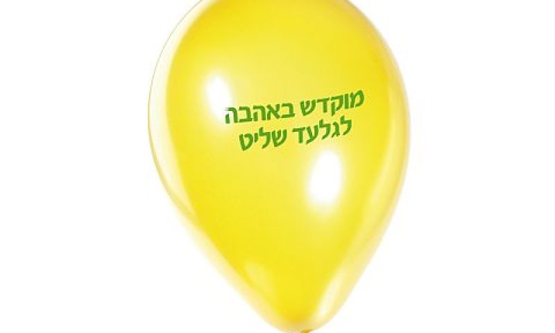 [צילום: אריאל בשור]