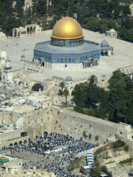 עלייה בלינות התיירים וירידה בלינות הישראלים