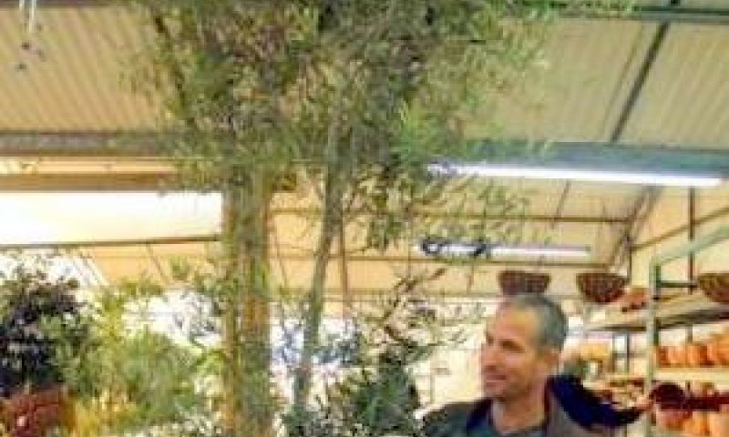 הזוכה זיו בית אור
